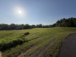 34247907