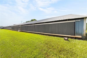 34205462