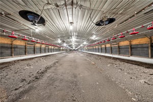 34205454