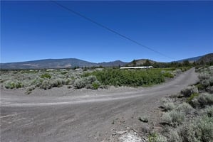 34206061
