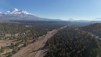 34206708