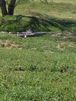 34206732