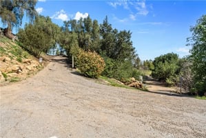 34207564
