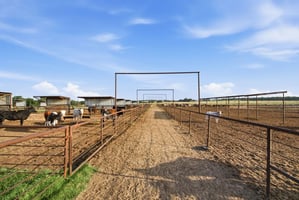 34210902