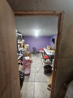 34226683