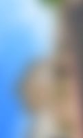 34247301