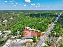 34248774