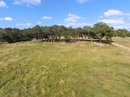 34256211