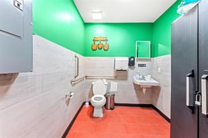 34262447