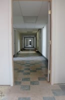 34262898