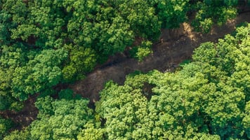 34290391