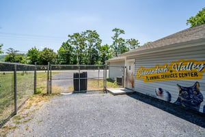 34281277