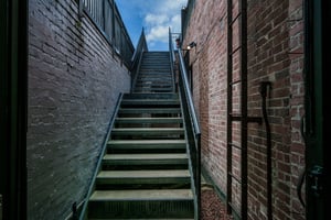 34292441