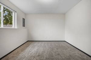34320597