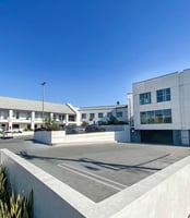 34299744