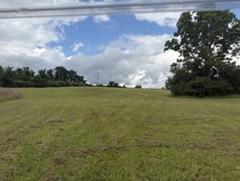 34310674