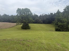 34310648