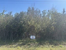 34316229