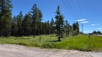 34316476