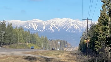 34316482