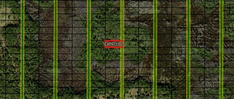 34316733