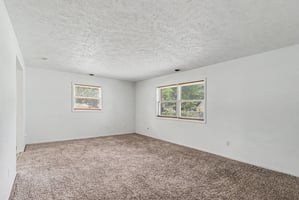 34317629