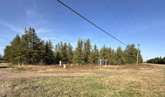 34318529