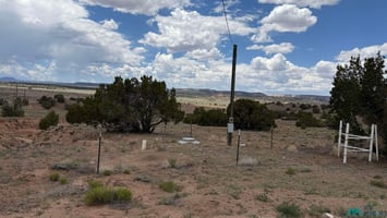34320250