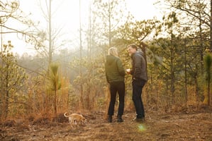 34321617