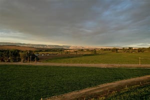 34326916