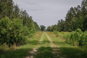 34327281