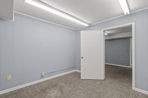 34330682