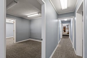 34330700