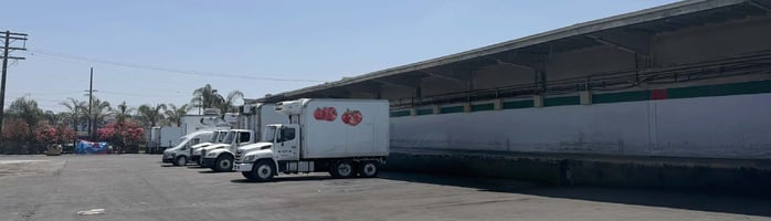 34340738
