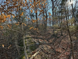 34346056