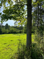 34347863