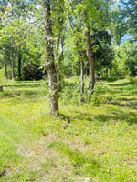 34500727