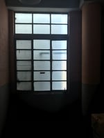 34469053