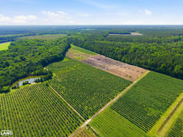 34367239