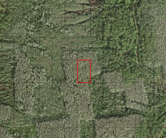 34367405