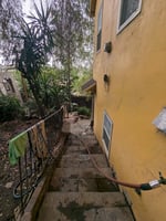 34367613