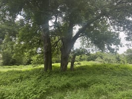 34367554