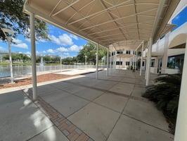 34369559