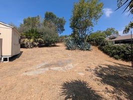 34369580