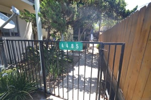 34372305