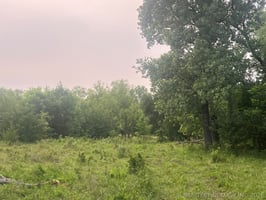 34377080