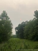 34377068