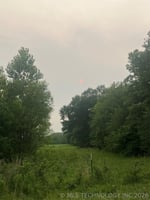 34377067
