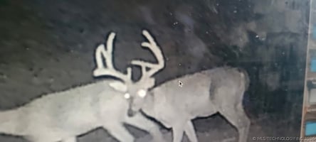 34377430