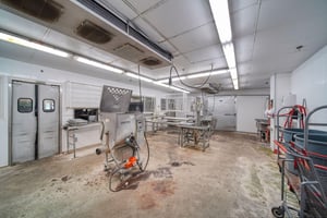 34380294